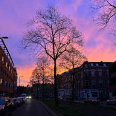 Zomeravond in Maart