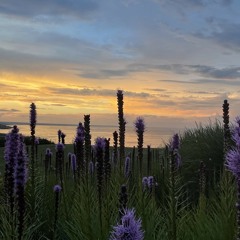 ≈ Soothing music ≈