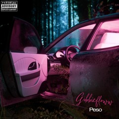 Peso - Gibbiefloww