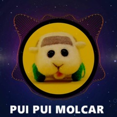 Music tracks, songs, playlists tagged PUIPUIモルカー on SoundCloud