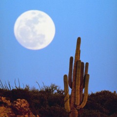 The Moon and the Mountain