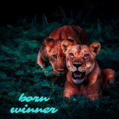 Born Winner