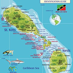 GET PDF 📝 St. Kitts & Nevis Dive Map & Reef Creatures Guide Franko Maps Laminated Fi