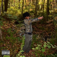 put up your hands (prod. daln)