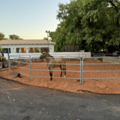 nadie sabe mis luchas