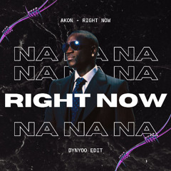 Akon - Right Now (dynyoo BKB edit)