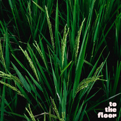 To The Floor (Vol. 5)
