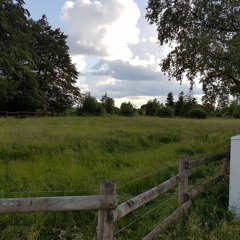 Sunrise at an unknown meadow