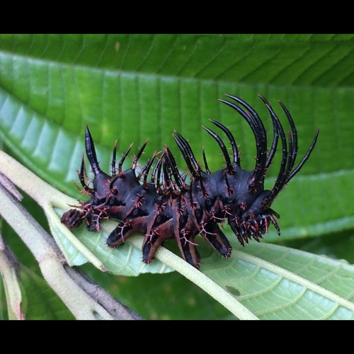 HK_Calm-&-Steady_tracks_254