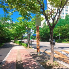 초여름