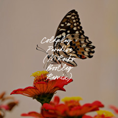Coldplay - Paradise (MRocks Bootleg Remix)
