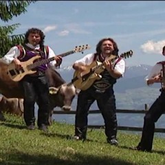Uptempo - Schei - Wi - Dei - Wi - Du - Die Mayrhofner