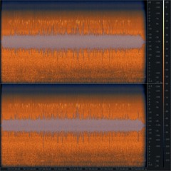 20201108 073612 CH Sihlwald Sihl White-throated Dipper