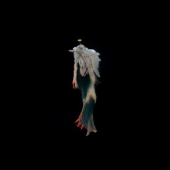 random interlude [Instrumental]