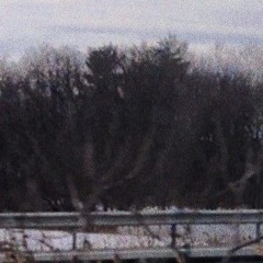 memorabilia; how to live forever