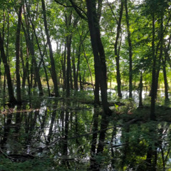 aamu x one47 - julia #ILYEXCLUSIVE