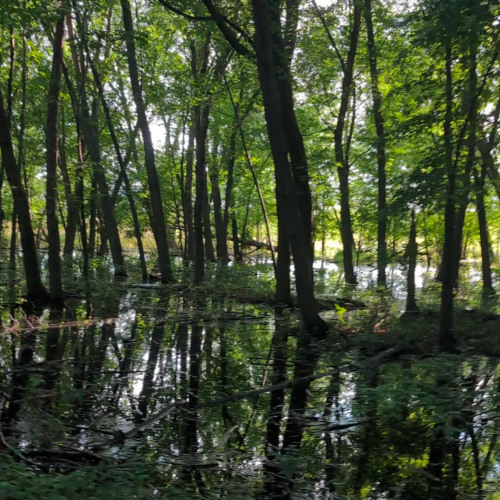 aamu x one47 - julia #ILYEXCLUSIVE