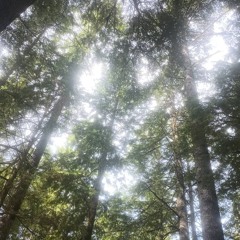 JAMIE SCHWABL @ CASCADIA 2024