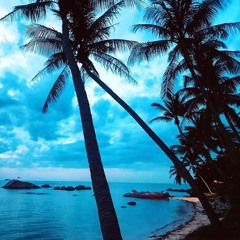 ELD Live Streaming Set May 2020