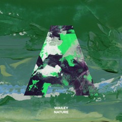 Wailey - Nature's Defy  (Radio Edit)