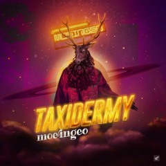 Taxidermy `MOEINGEO`