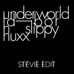 BORN SLIPPY [STEVIE EDIT]