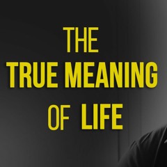 The True Meaning Of Life - David Tian's Personal Journey (So Far)