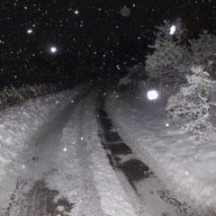 WINTER LOVE
