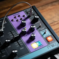 Moog Matriarch