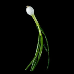 ONION