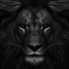 Be Prepared The Lion King Disney Goes ROCK Peyton Parrish Cover.mp3 (Not my song belongs to him👆)