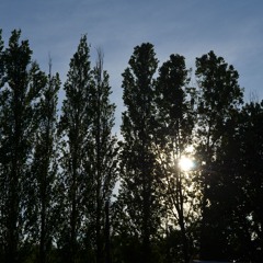 Cinnoota (Cinnamon & Tha Noota)