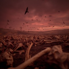 We, The Birds Of Prey (Hierophlex Vision)