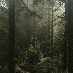 fuckjust5 ft.sapreem