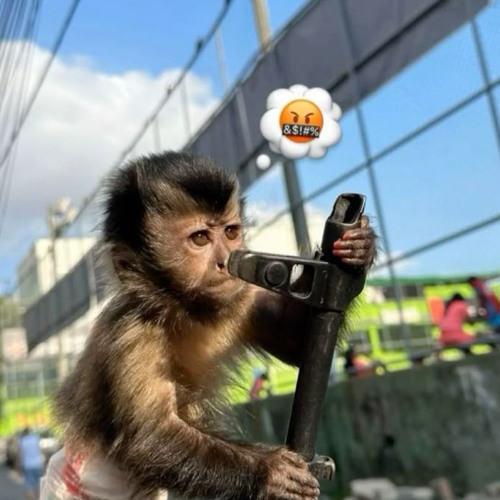 ELA SOBE E REBOLA NO FUZ#L DO ATIVIDADE, 762 BARULHENTO KKKKK