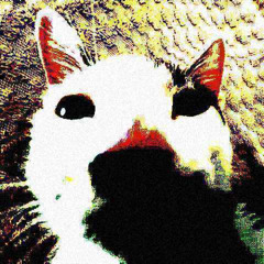 Zombie Cats - ZIMA + Billain - Kinetic [Double For Zombie Cats DJ Contest]