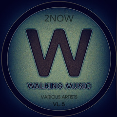 2NOW - Angular (Original Mix) Preview . Walking Music