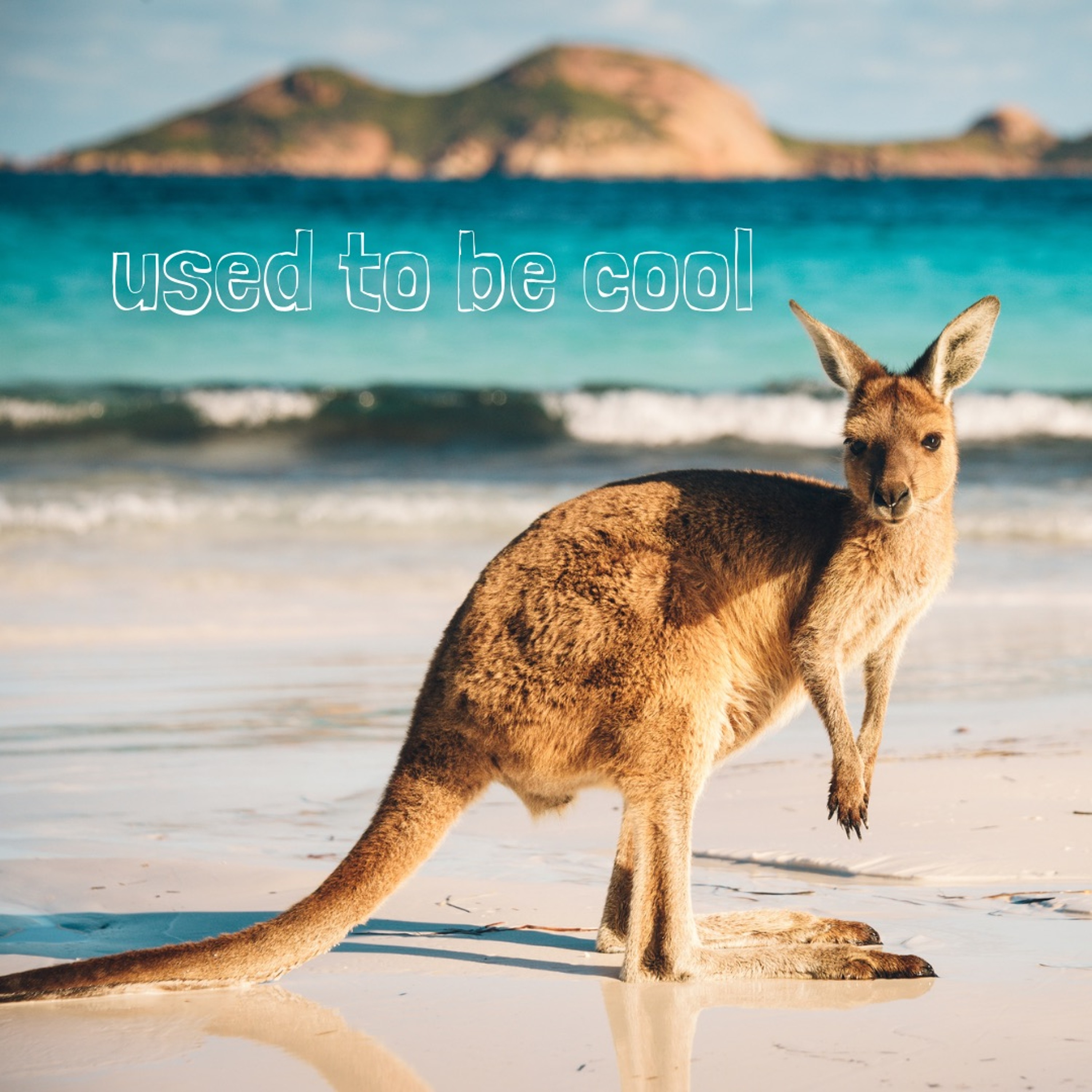 Ep48 - Kangaroo Meat Raffle