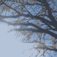 lyndhurst train station