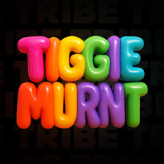 TRIBE x BEEST DJ Contest - [Tiggie Murnt]