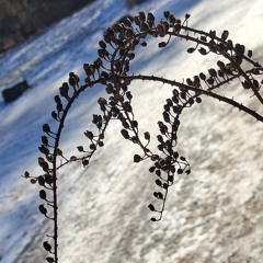 Echariel- Fractal One (Club Edit)