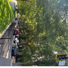 Movie Star Cover Lizzy McAlpine