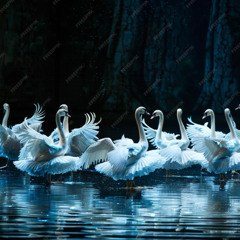 Tchaikovsky - swan lake