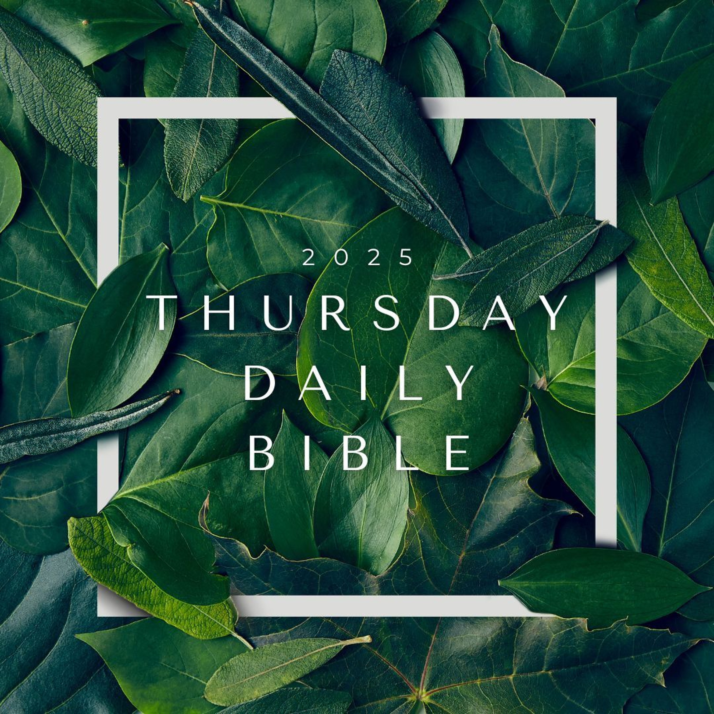 25.01.09 (Jos 2) Daily Bible episode artwork
