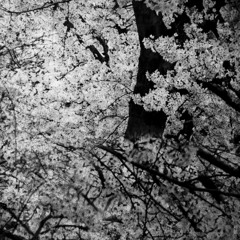 20240912-03｜LIVE｜女巫店｜懋｜