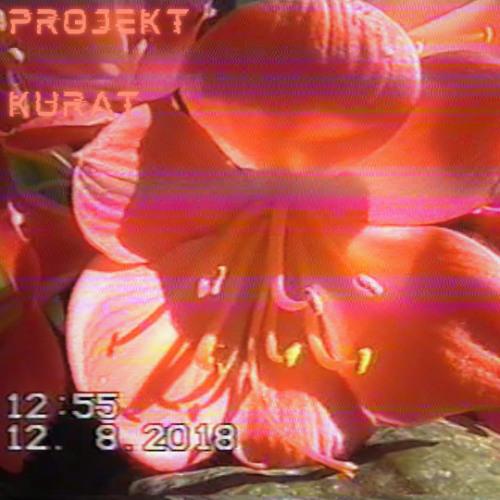 Projekt Kurat (Prod. Gemini)