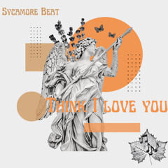 Think I Love You