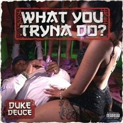 What You Tryna Do