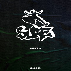 PREMIERE : S.U.R.E. - Meet U
