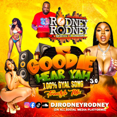 RODNEYRODNEY pres.GOODIE HEAR YAH 3.0 100% GYAL SONG FREESTYLE MIX 2025
